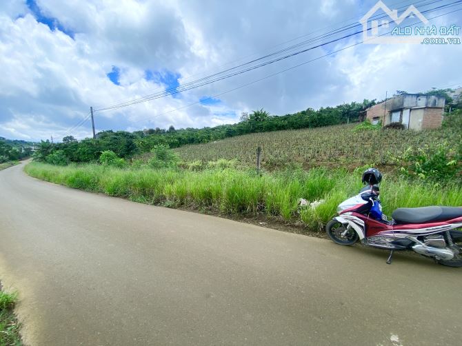 💯View hồ ông dụ mộng mơ. Đất mặt tiền Tôn Thất Thuyết, Dambri, phường 2 Bảo Lộc - 1