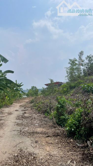 1.5 tỷ, 8000m2, 360 thổ cư, Cẩm Lý, Lục Nam, Bắc Giang, bám đường ô tô, ra vào thuận tiện, - 1