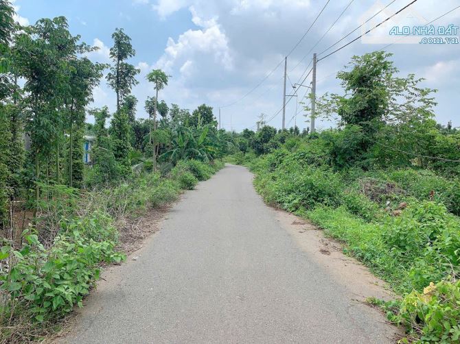 Bán khoảng 7 sào 5 (7499m2) đất xã Bàu Chinh, huyện Châu Đức, BRVT. - 1