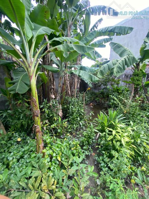 Bán đất tặng nhà, Nguyễn Thị Đinh, 1100m2, 25x44m, full thổ cư, không quy hoạch, hẻm ÔTÔ - 18