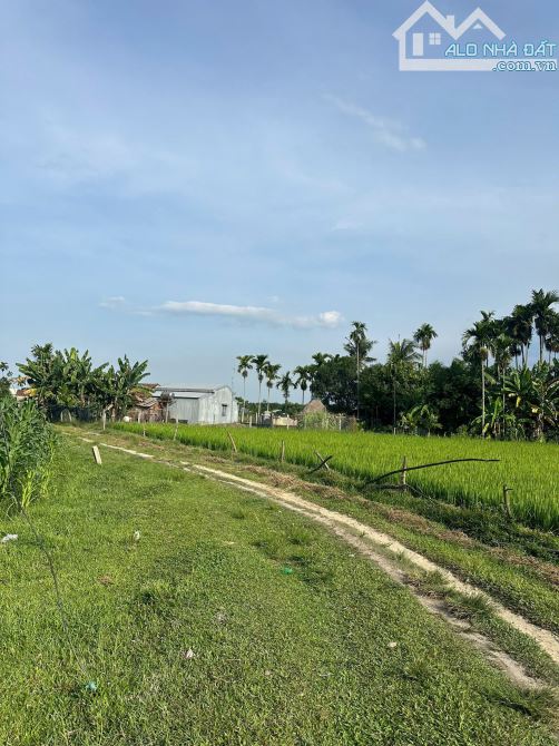 BÁN LÔ ĐẤT TAM XUÂN2, ĐƯỜNG BÊ TÔNG Ô TÔ GIÁ ĐẦU TƯ. - 2