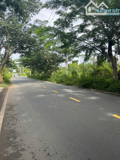 Đất 9700 m2 Mặt tiền Ngô Quang Thắm - 10tr/m2 - 2