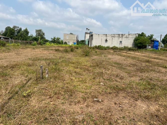 BÁN GẤP đất thổ nhà vườn Phú Thạnh Nhơn Trạch vành đai 3,oto,giá rẻ 3tr/m, SHR .GỌI NGAY - 2