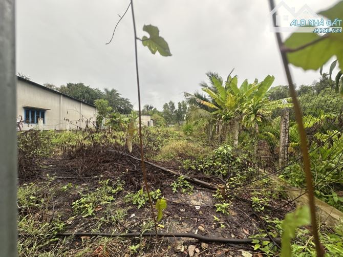 bán đất 1,100m² mặt tiền bờ sông đường nhị Bình 15 xã nhị Bình huyện hóc môn đường 7m  Đã - 2