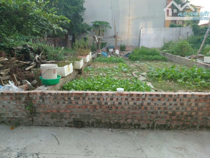 💥💥💥Cơ hội vàng, nhanh tay mảnh đất hiếm, Thôn Đoài Nam Hồng, giá đầu tư - 2