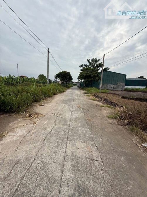 Bán đất Đình Tổ - Thuận Thành - Bắc Ninh, - 2