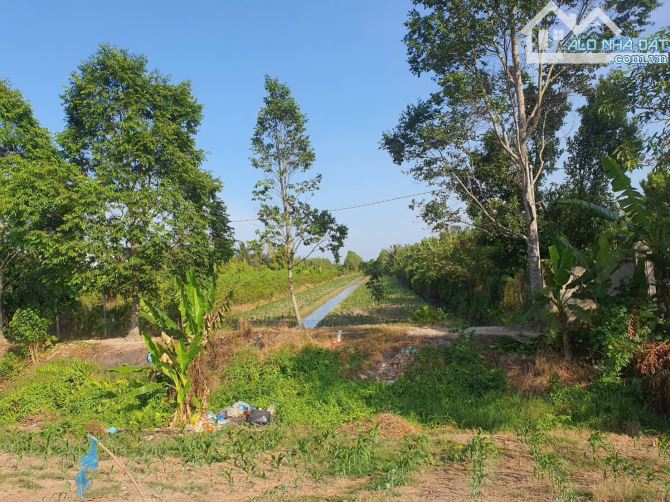 ĐẤT 2617 m2 8,9 Tỷ MẶT TIỀN QUỐC LỘ 61C, ẤP NHƠN THUẬN 1, XÃ NHƠN NGHĨA, PHONG ĐIỀN, TPCT - 2