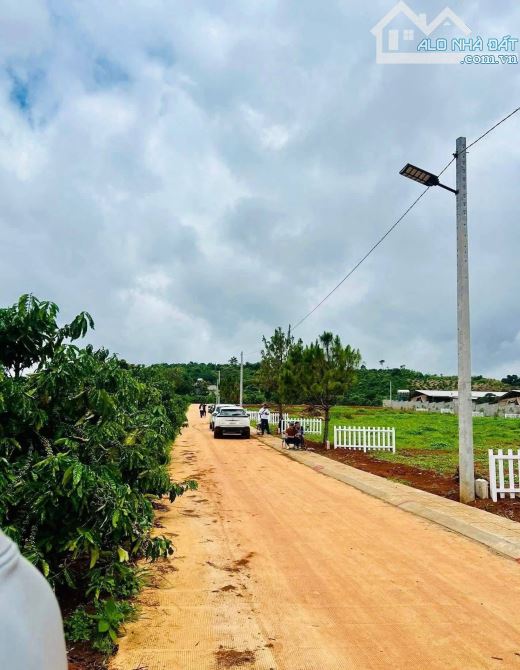 Xã Nam Ban, ngay khu dân cư hiện hữu 🛍️ Cách chợ Thăng Long chỉ hơn 2km - 2