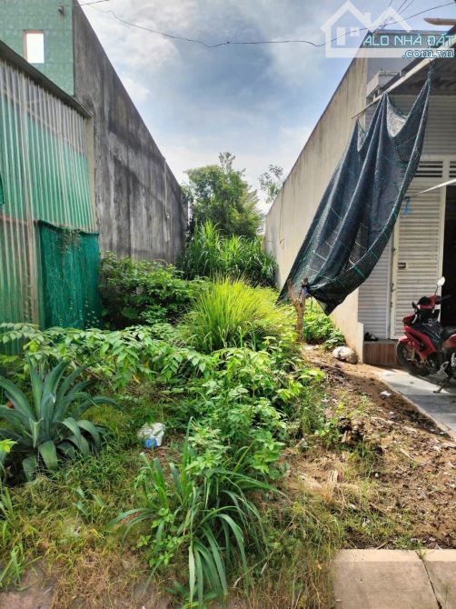 Đường số 16 - Khu dân cư Thanh Yến - Nhựt Chánh - Bến Lức - 2