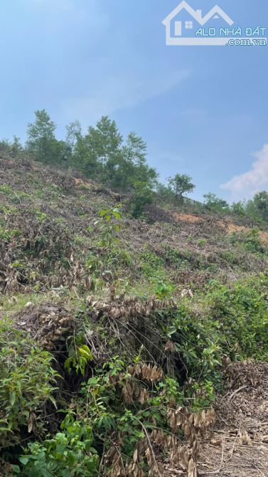 1.5 tỷ, 8000m2, 360 thổ cư, Cẩm Lý, Lục Nam, Bắc Giang, bám đường ô tô, ra vào thuận tiện, - 2