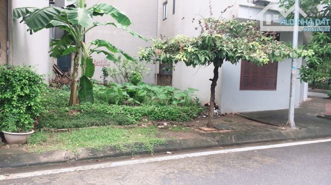 Bán Đất Phân Lô, Vỉa Hè, Kinh Doanh, Ô Tô, 75m2, MT5m, 918 Phúc Đồng, Long Biên - 2