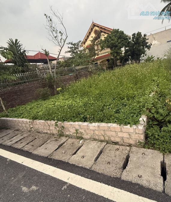 Chào bán lô đất cực kỳ tiền năng tại Hoa Động , Thuỷ Nguyên ,Hải Phòng - 2