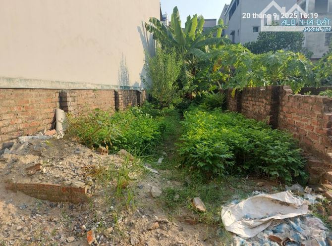 Bán đất Tiên Hùng, Nguyên Khê, 60m2, mt3.5m, 2.6 tỷ. Ô tô. - 2