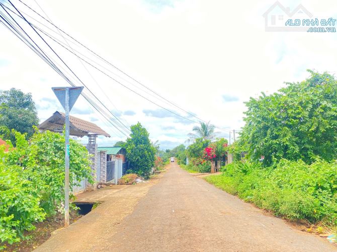 ‼️‼️HẺM CẤP 1 TL5 - THÔN 5 EBAR Chủ kẹt Ngân hàng muốn bán nhanh 6 x 46 - 3