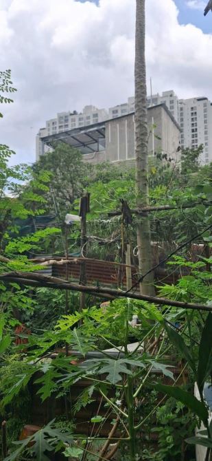PHƯỚC KIỂN – LÔ ĐẤT ĐẸP 55M2 – CHỈ 3TỶ55 - 3