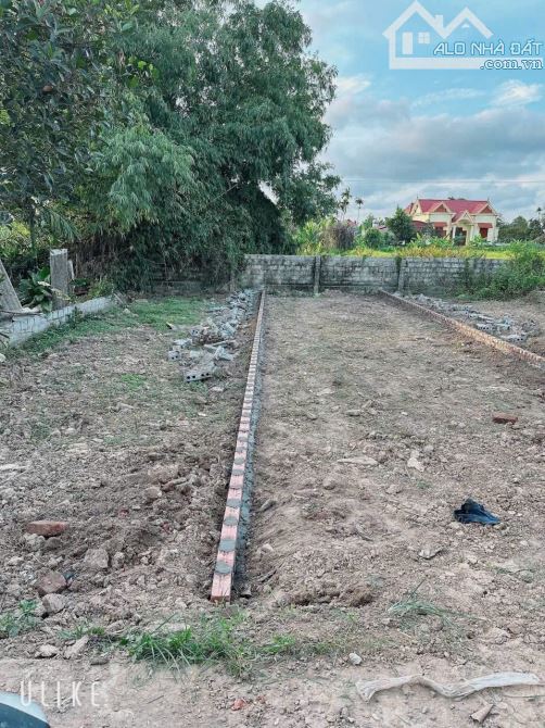 73m2 Cốc Liễn, Minh Tân, Kiến Thụy gần Ga Minh Tân - 3