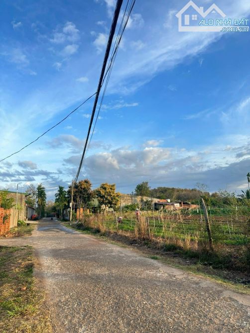 ĐẤT 4200m2 LÀM KHO BÃI THUỘC TP BUÔN MA THUỘT GIÁ TỐT - 3