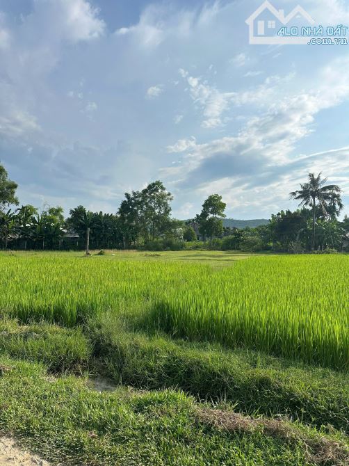 BÁN LÔ ĐẤT TAM XUÂN2, ĐƯỜNG BÊ TÔNG Ô TÔ GIÁ ĐẦU TƯ. - 3