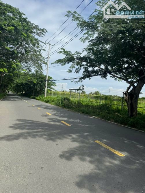 Đất 9700 m2 Mặt tiền Ngô Quang Thắm - 10tr/m2 - 3