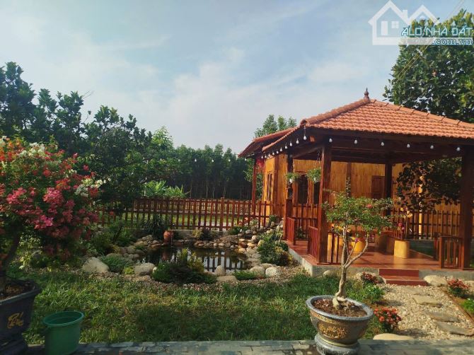 Bán nhà vườn đà nẵng, 423m2 có 200m2 đất ở ngang rộng rãi 20m - 3