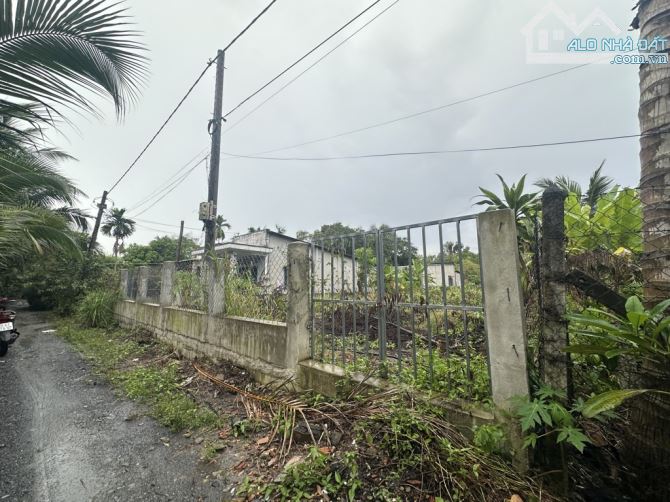 bán đất 1,100m² mặt tiền bờ sông đường nhị Bình 15 xã nhị Bình huyện hóc môn đường 7m  Đã - 3