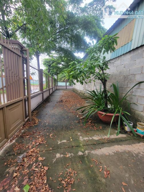 bán đất 1,000m² mặt tiền bờ sông đường nhị Bình 15 xã nhị Bình huyện hóc môn đường 7m  Đã - 3