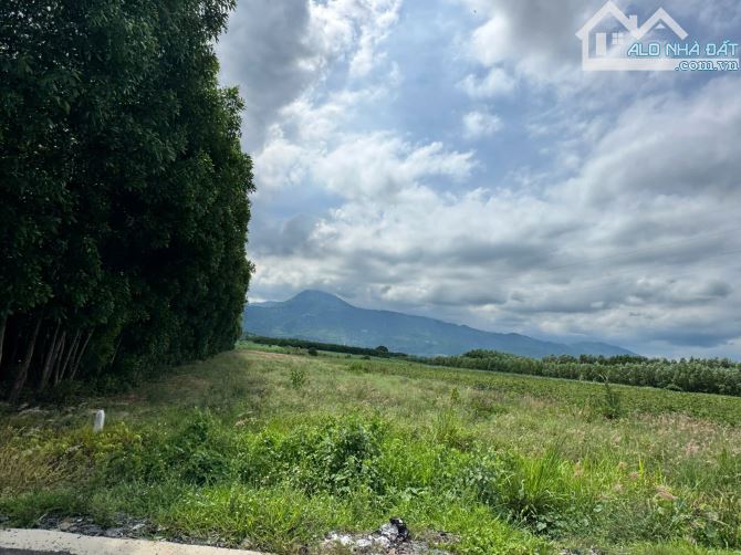 Bán đất 3469m mặt tiền Lập Định Suối Môn Cam Cam An Bắc, Cam Lâm, Khánh hòa 17.34 tỷ (chỉ - 3