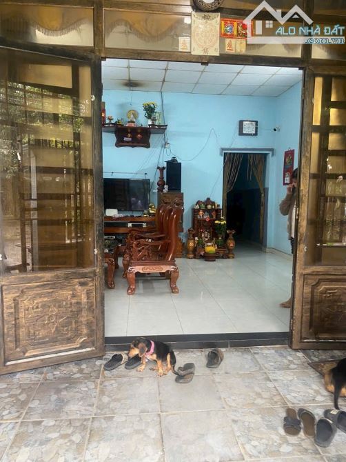3,25Tỷ TL🔥Bán nhà cấp Bốn 90,8m2 KDC gần đường Bùi Thị Xuân, p.Tân Bình, Tp.Dĩ An - 3