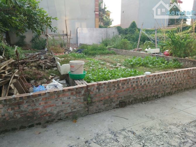 💥💥💥Cơ hội vàng, nhanh tay mảnh đất hiếm, Thôn Đoài Nam Hồng, giá đầu tư - 3