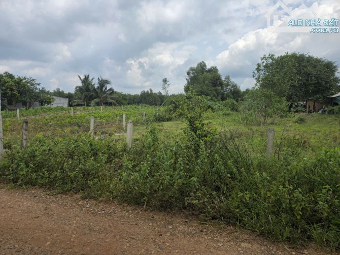 Bán 1000m2 đất gần quốc lộ 55 xã Thắng Hải, Hàm Tân, Bình Thuận. - Ngang 20m dài 50m - 3