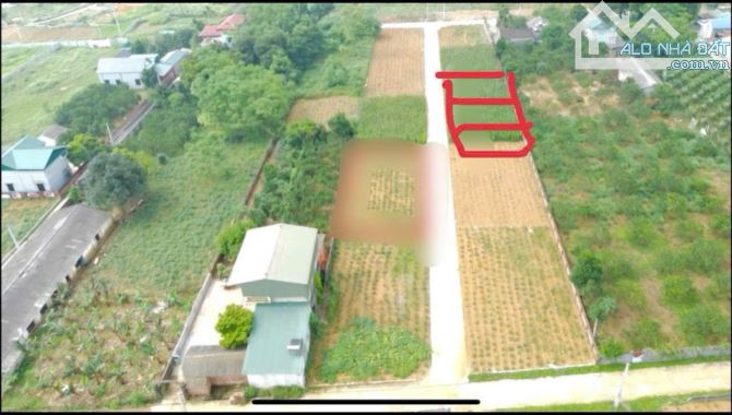 BÁN ĐẤT 116m² THÔN HÒA THẠCH, QUỐC OAI - 3