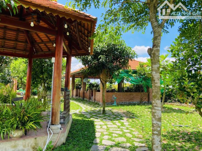 Nhà vườn nghỉ dưỡng 5000m2, góc 2MT cách Hồ Cốc 15km, Xuyên Mộc, BRVT - 2