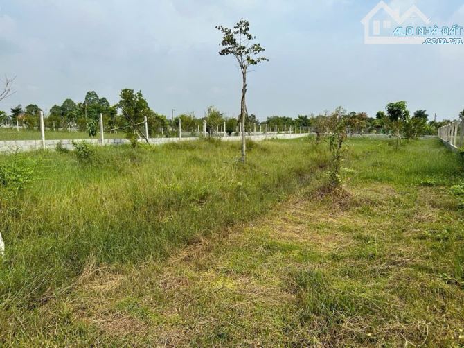 Thái Mỹ (TLT-CỦ CHI) bán lô đất rộng(19 x63) HXH gần đường 667 giá 2tỷ. - 3