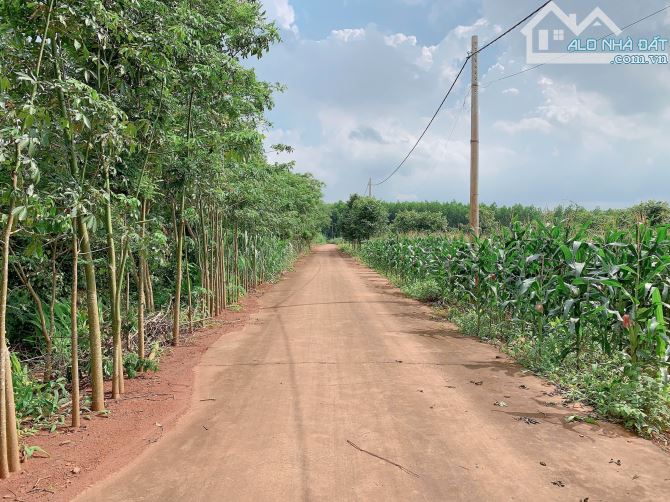 Bán khoảng 1 sào (1061m2) đất xã Đá Bạc, huyện Châu Đức, BRVT. - 3