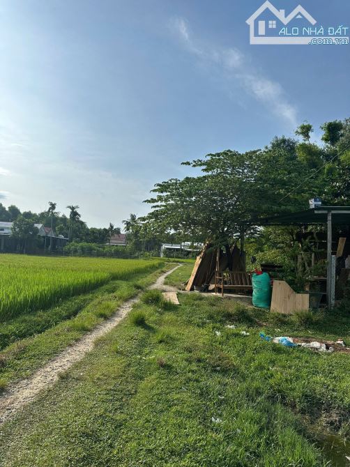 BÁN LÔ ĐẤT TAM XUÂN2, ĐƯỜNG BÊ TÔNG Ô TÔ GIÁ ĐẦU TƯ. - 4