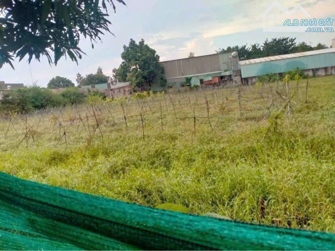 Lô đất đẹp đường Xuân Thới Thượng 9 Hóc Môn.xe tải tới đất . DT 2230m2 30m*75m.Chi11, 5Tỷ - 4