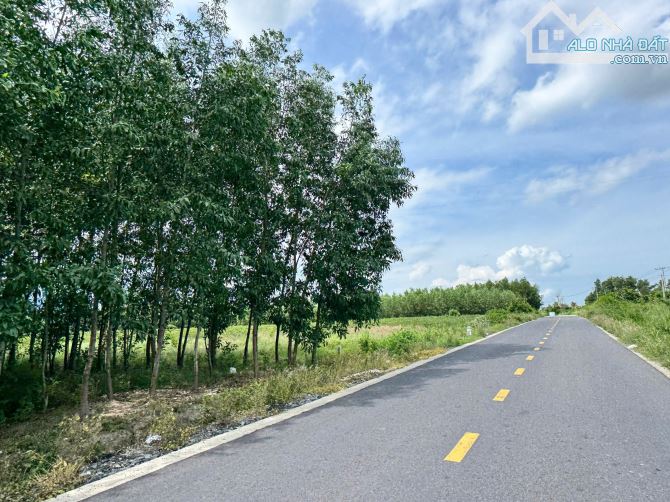 Bán đất 3469m mặt tiền Lập Định Suối Môn Cam Cam An Bắc, Cam Lâm, Khánh hòa 17.34 tỷ (chỉ - 4