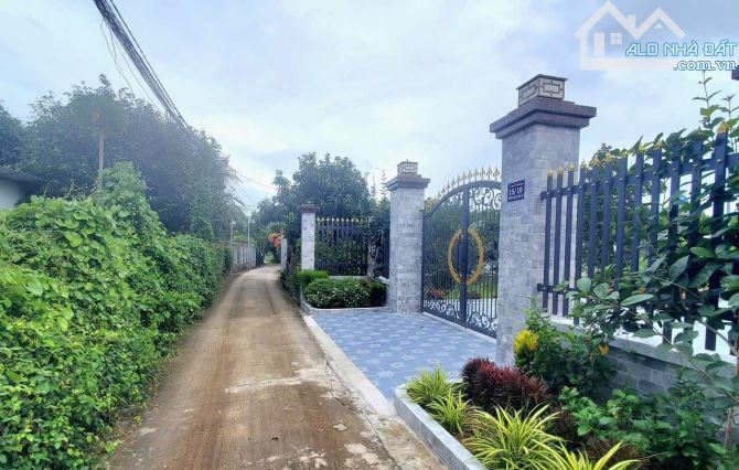 ĐẤT HIỆP AN (CŨ) – NHÁNH DX88  4,5 x 25m = 113m² (thổ cư 60m²) - 4