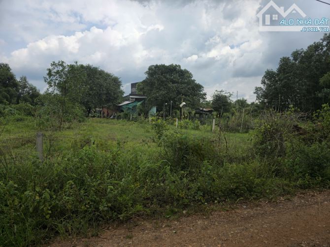 Bán 1000m2 đất gần quốc lộ 55 xã Thắng Hải, Hàm Tân, Bình Thuận. - Ngang 20m dài 50m - 4
