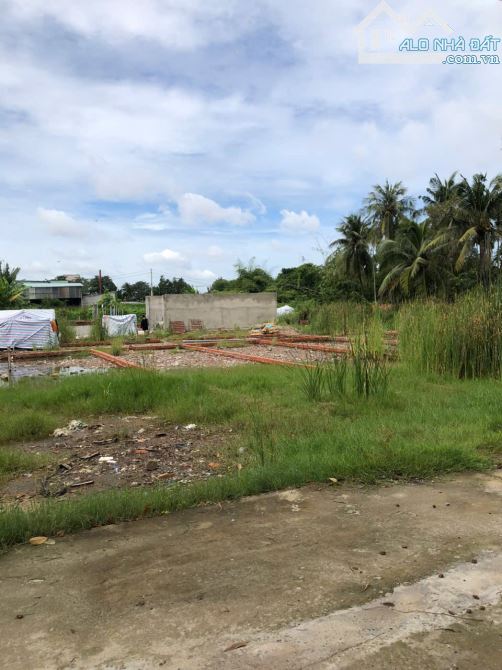 ĐẤT LÁI THIÊU ĐƯỜNG Ô TÔ DT 105 M2 GIÁ 3,19 TỶ - 5