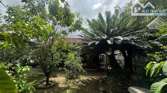 ĐẤT LỚN VEN SÔNG - NGAY VINHOME GRAND PARK - 708M2 - NHÀ VƯỜN NGHĨ DƯỠNG – GIÁ NHỈNH 34 TỶ - 5