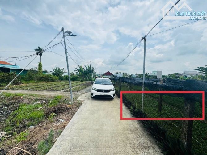 Phước Hậu Cần Giuộc 500m đất vườn phủ hồng  đường xe hơi tới đất chỉ 1tỷ3 - 5