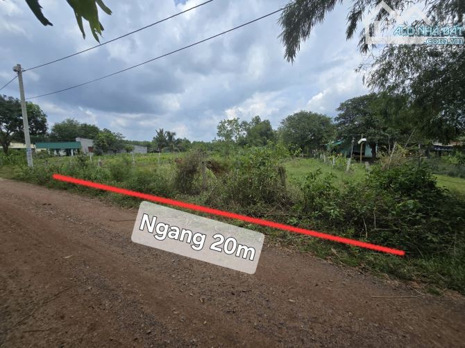 Bán 1000m2 đất gần quốc lộ 55 xã Thắng Hải, Hàm Tân, Bình Thuận. - Ngang 20m dài 50m - 5
