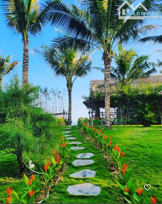🌊 SIÊU RESORT NGUYỄN PHAN VINH – 1800M² – 155 Tỷ 🌊 - 8