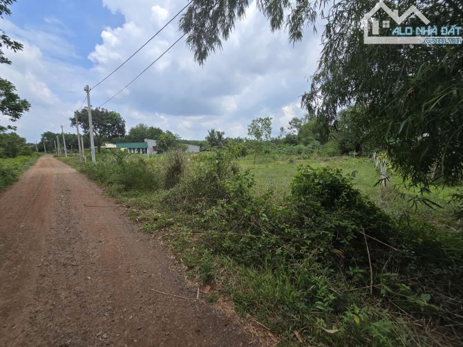 Bán 1000m2 đất gần quốc lộ 55 xã Thắng Hải, Hàm Tân, Bình Thuận. - Ngang 20m dài 50m - 7