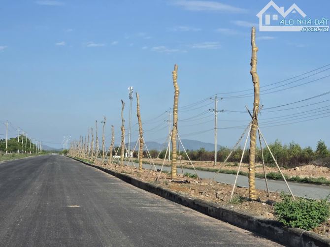 ✓B.án đất xây dựng xưởng thuộc khu công nghiệp Hàm Kiệm 2, Huyện Hàm Thuận Nam, Bình Thuận - 9