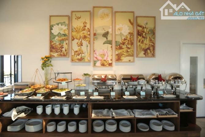 🌟 SIÊU PHẨM KHÁCH SẠN 12 TẦNG – AN TƯ CÔNG CHÚA (258m² – Ngang 20m) – 75t 🌟 - 9