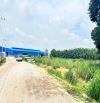 Bán đất SKC làm kho xưởng ở Vĩnh Tân,Tân Uyên, Bình Dương