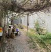 Bán đất phân lô KĐT Tây Nam Linh Đàm, ô tô tránh, vỉa hè  DT: 60m², MT: 5m chào giá: 16.9