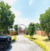 Vỡ nợ bán gấp nhà vườn 2541m (60x42) có sẵn nhà